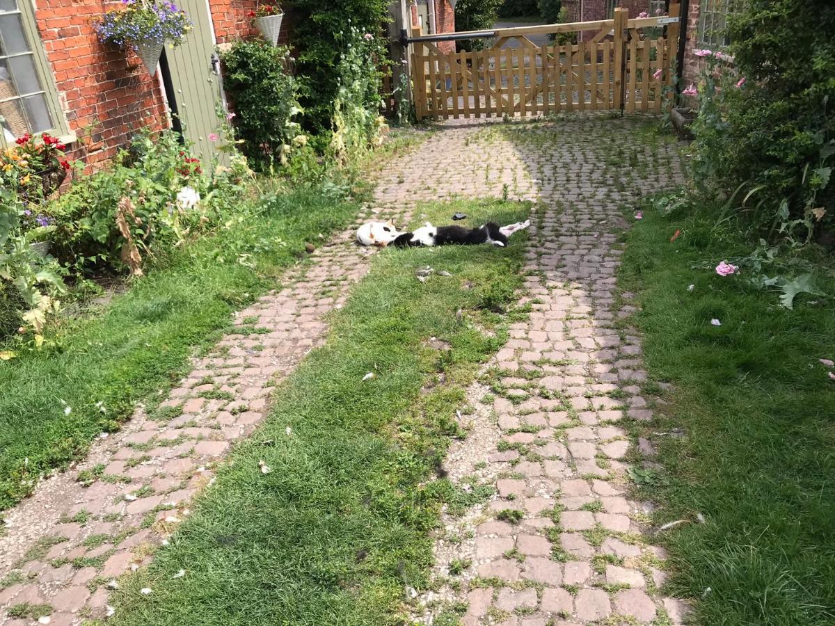 Bottesford - Leicestershire Apartment Bottesford (Lincolnshire)